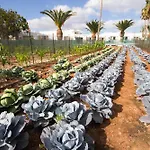 Floresta Ξενοδοχείο με διαμερίσματα Πουέρτο Ντελ Κάρμεν