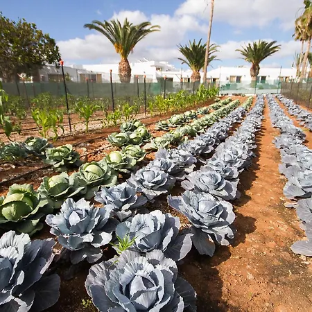 Floresta Апарт-готель Пуерто-дель-Кармен