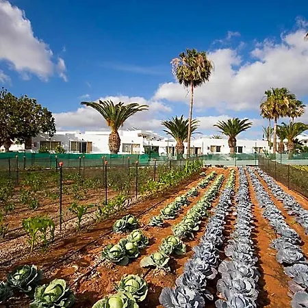 Floresta Hotel apartamentowy Puerto del Carmen (Lanzarote)