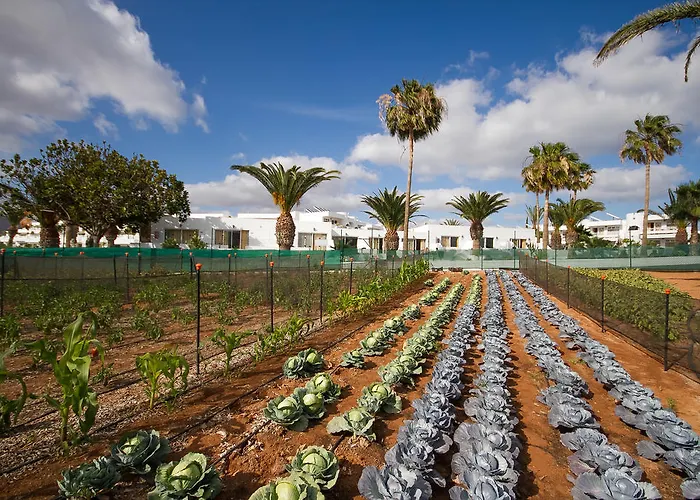 Floresta Aparthotel 3*